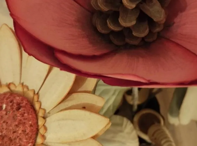 A Casa Di Esther بولونيا